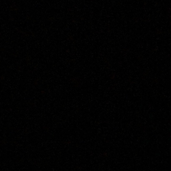 Meet your Posher, Lizzy - Picture 1 of 1